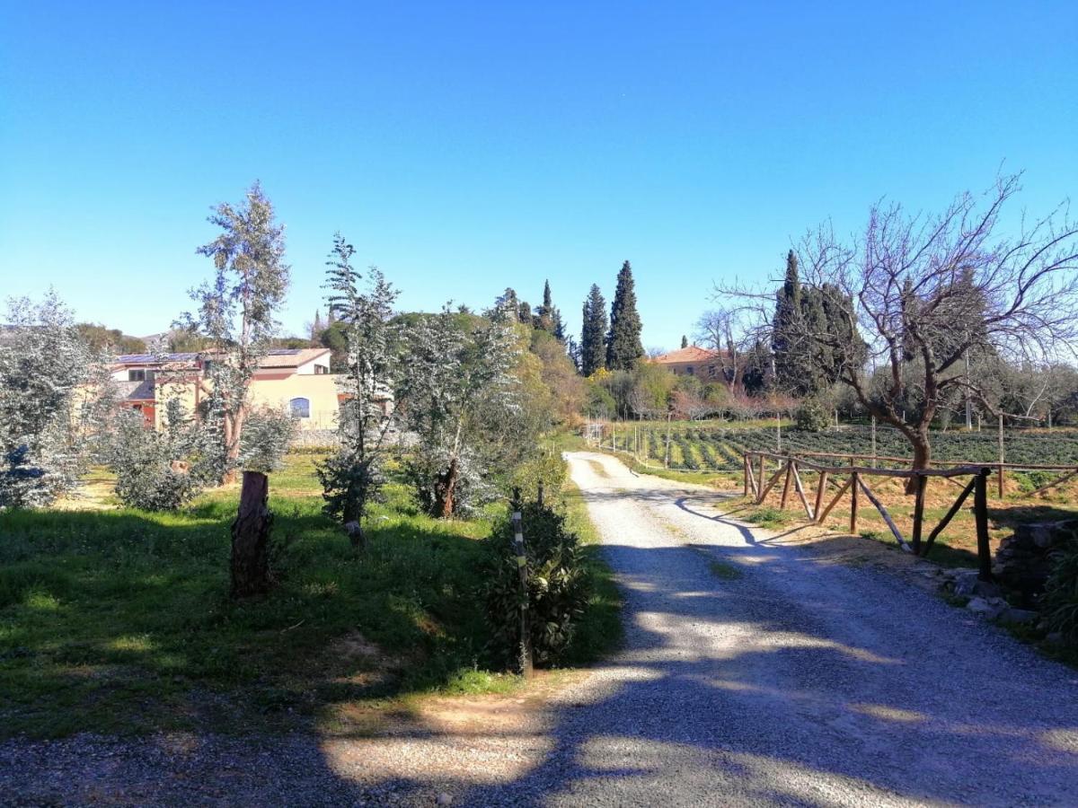 Nonna Litta Villa Albenga Bagian luar foto